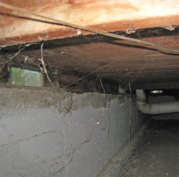 Crawlspace Water Removal in Compton Heights, Missouri