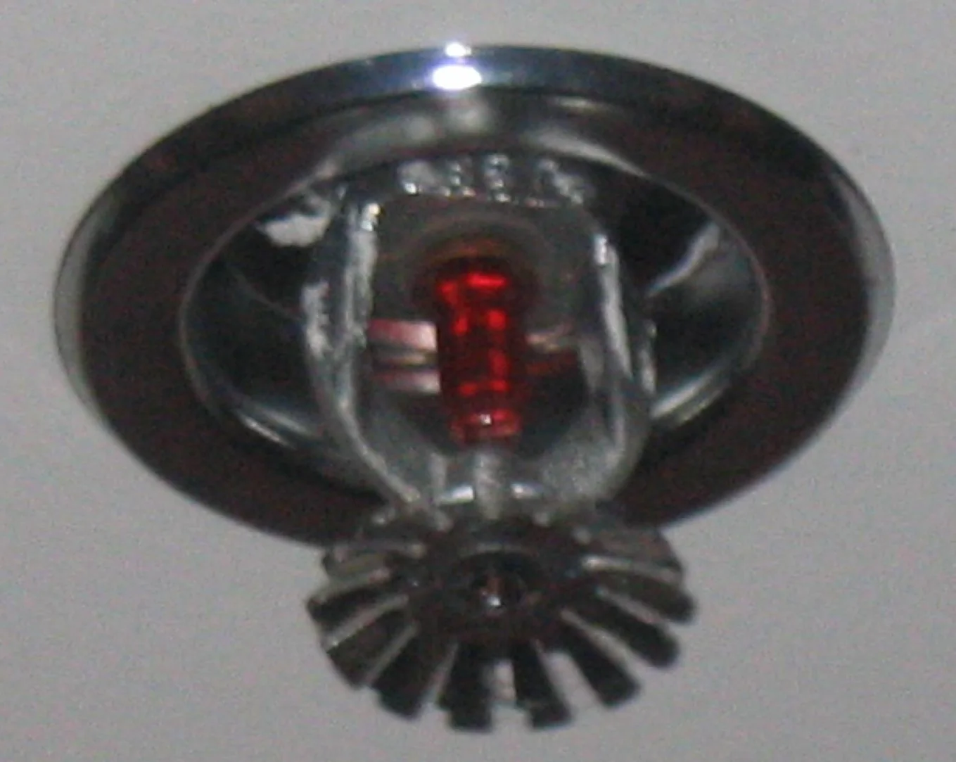 Fire Sprinkler Discharge Damage in Gate District, Missouri