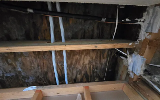 Attic Water Damage in Ferguson, Missouri